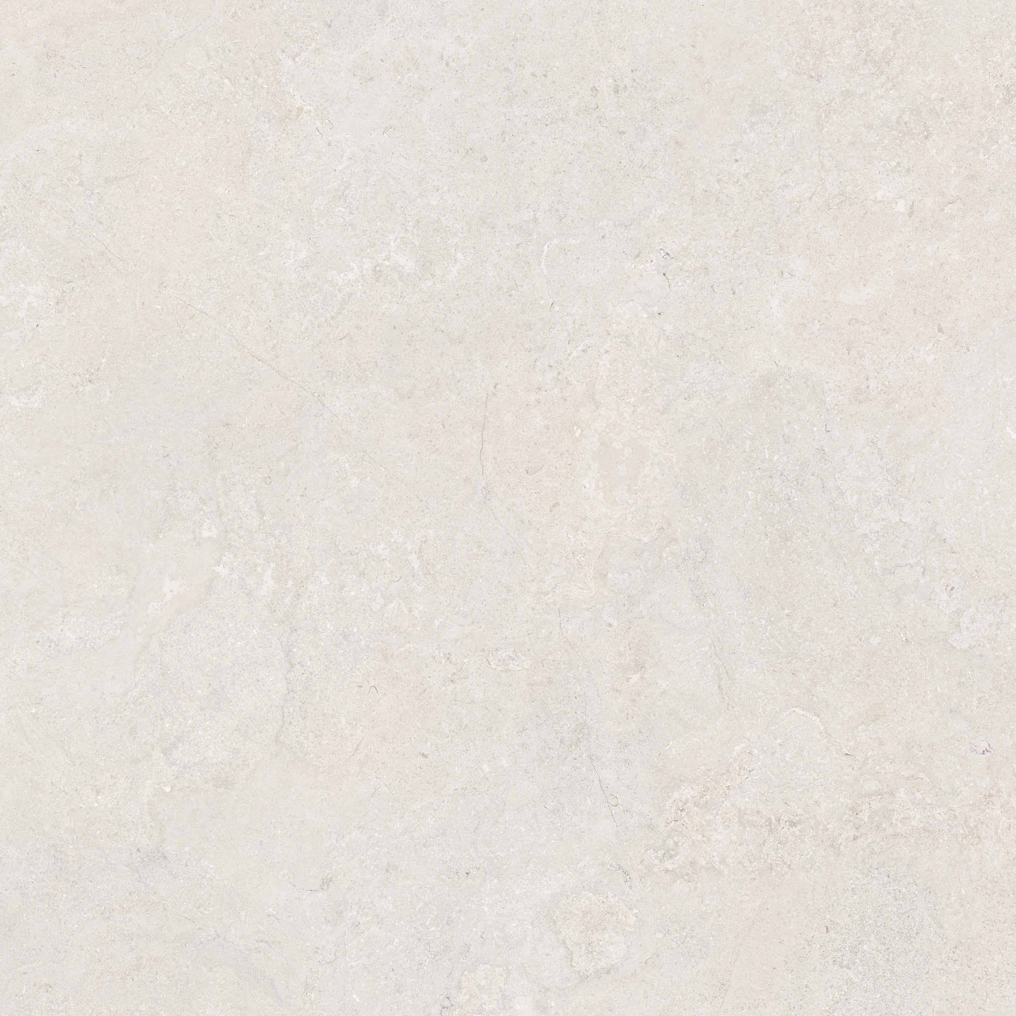 CeraVision Dorset White Mat 120x120 Rett