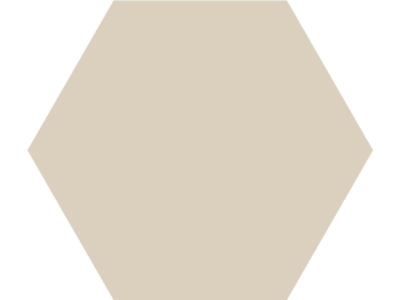 TopCer Field Materials L4416 White Mat Hexagon 10x10