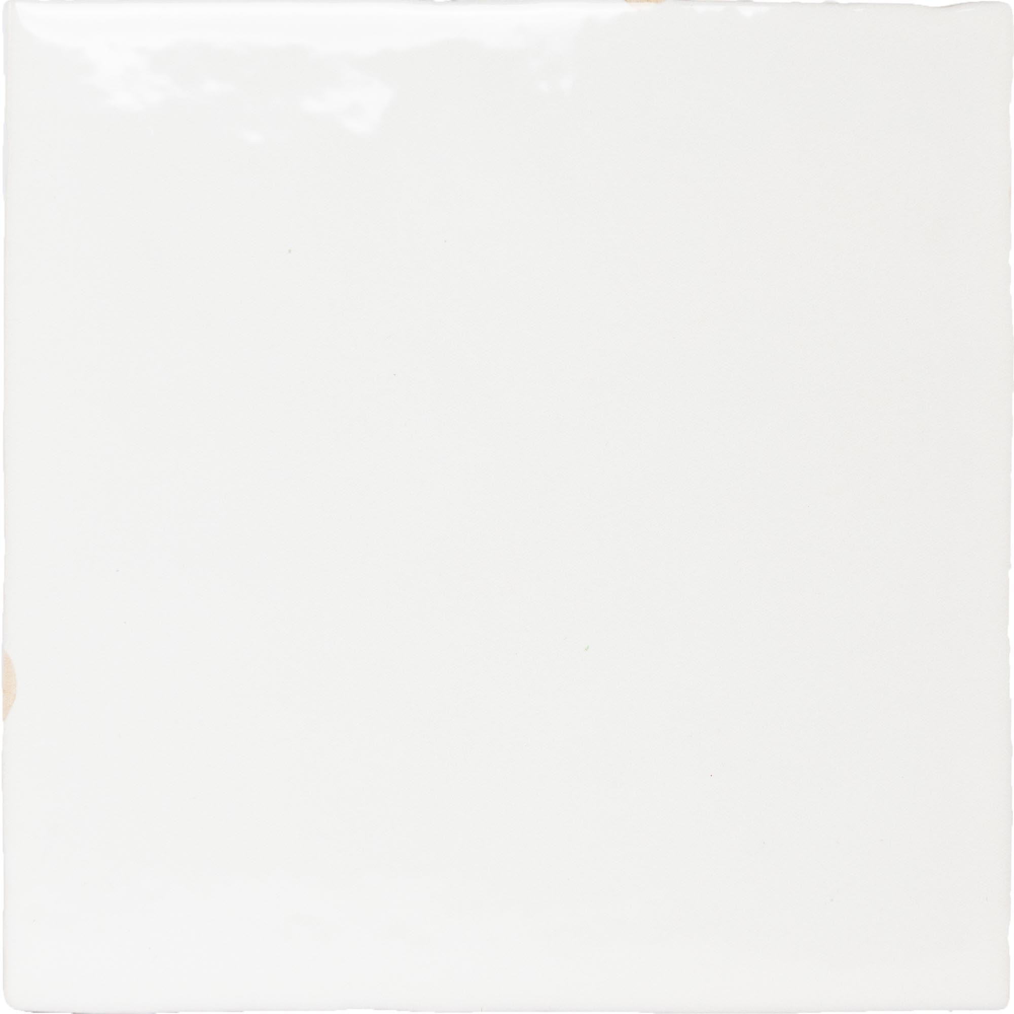 CeraVision Zel Casablanca White Glans Handvorm 13x13