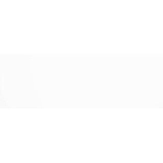 CeraVision Vantage Blanco Glans 40x120 Rett