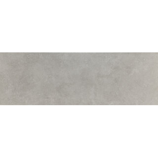 CeraVision B-Stone Ceniza Mat 25x75 Rett