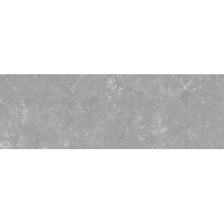 CeraVision B-Stone Gris Mat 25x75 Rett