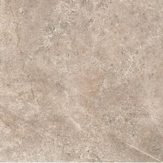CeraVision Landstone Taupe Mat 60x60 Rett