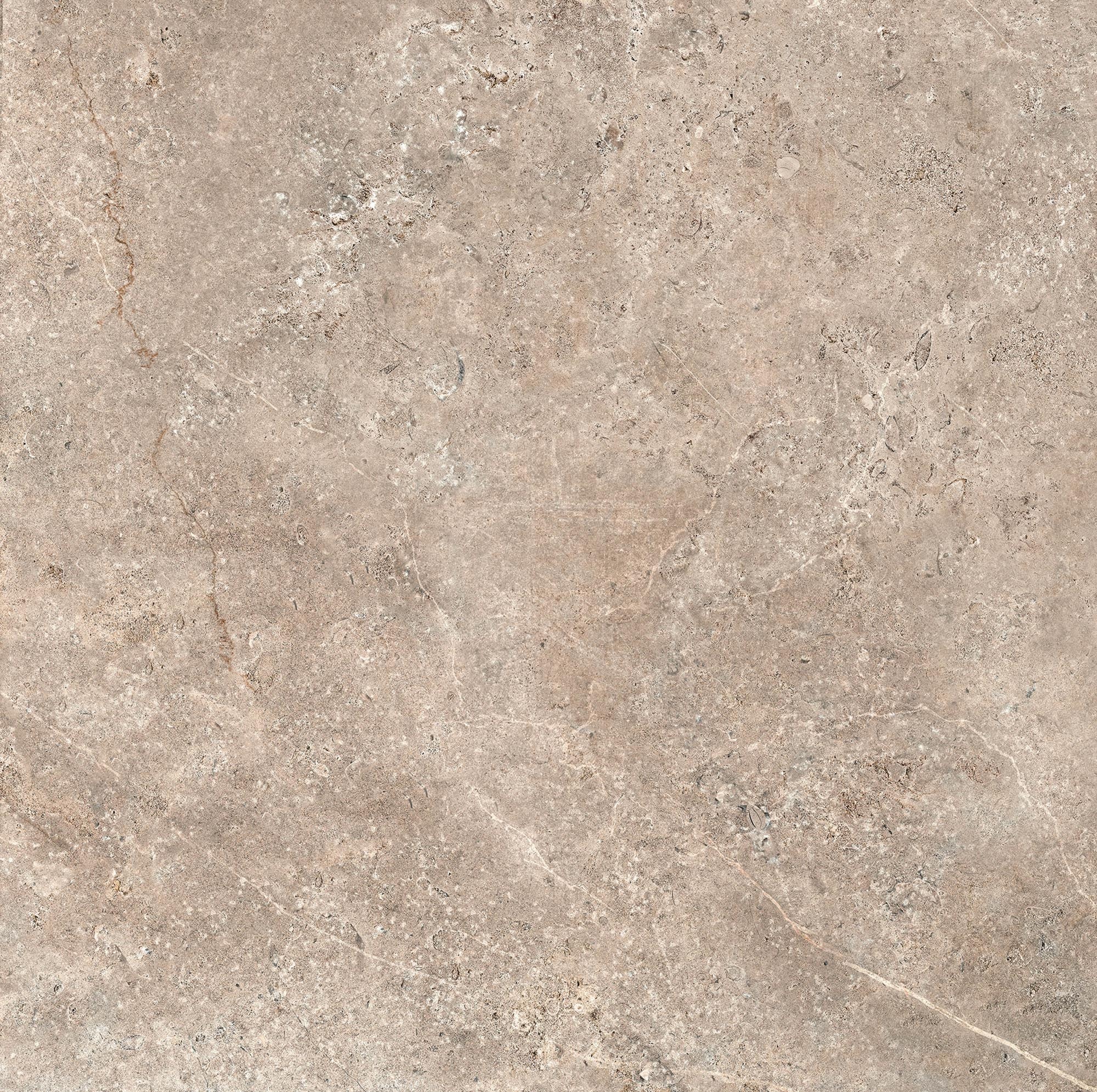 CeraVision Landstone Taupe Mat 60x60 Rett
