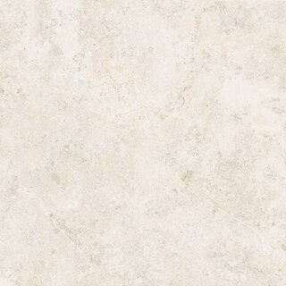 CeraVision Landstone Raw White Mat 60x60 Rett