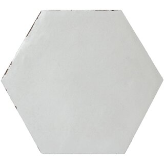CeraVision Capri Solaro White Zijdeglans Hexagon 14x16