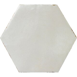 CeraVision Capri Rassa Grey Zijdeglans Hexagon 14x16