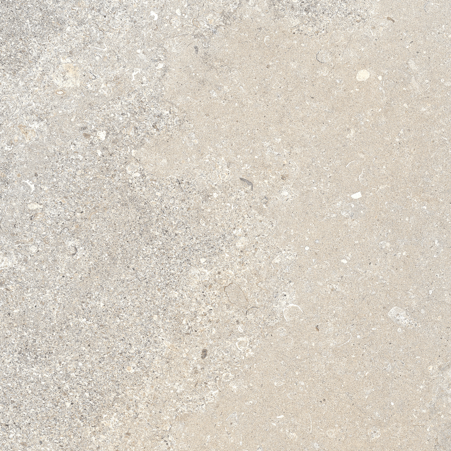 CeraVision Signature Stone Beige Mat 59,7x59,7 Rett
