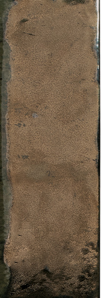 CeraVision London Calling Golden Glans 3,7x11,6