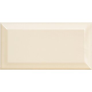 CeraVision Metro Cream Glans 10x20
