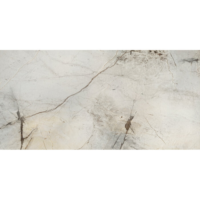 CeraVision Gold Hard Glans 60x120 Rett