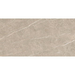 CeraVision Elite Greige Mat 30x60 Rett