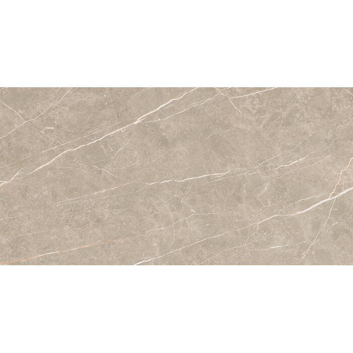 CeraVision Elite Greige Mat 30x60 Rett