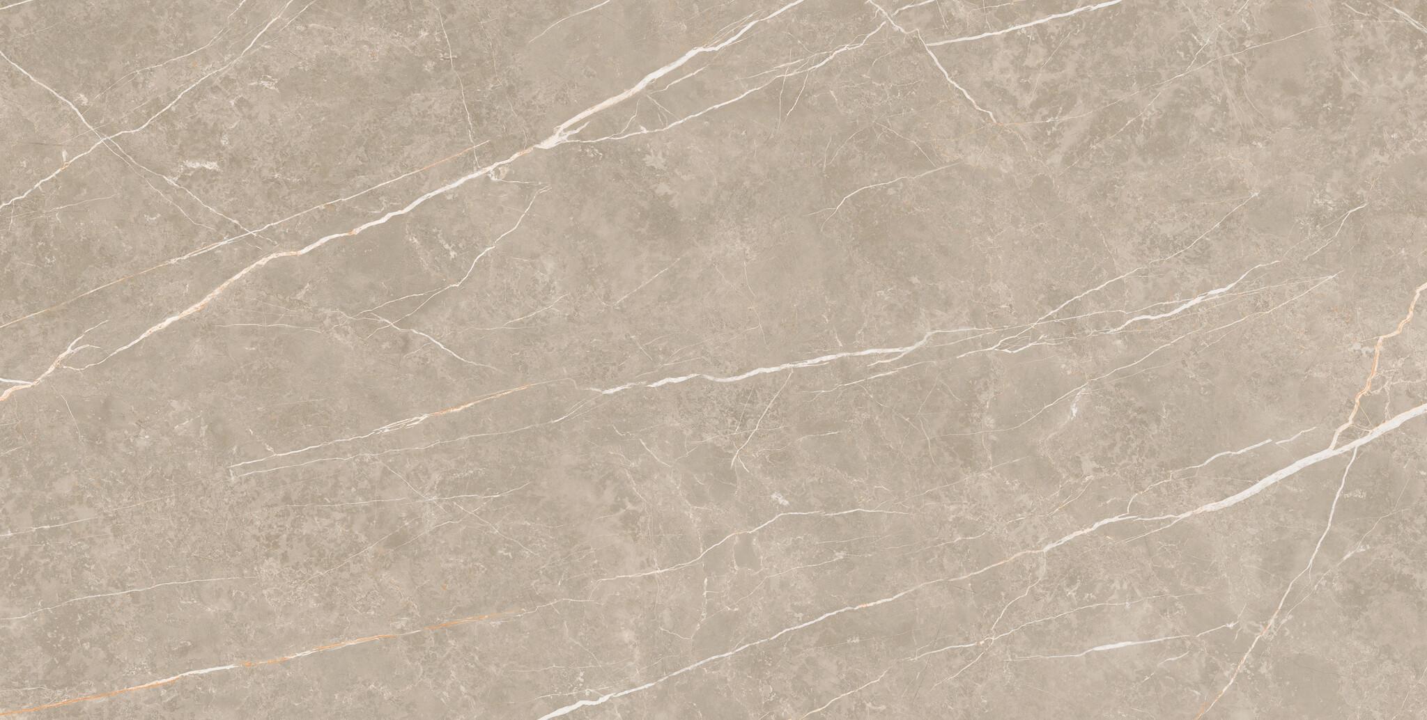 CeraVision Elite Greige Mat 30x60 Rett