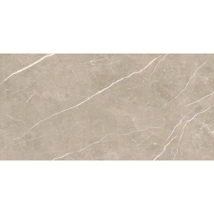 CeraVision Elite Greige Mat 30x60 Rett