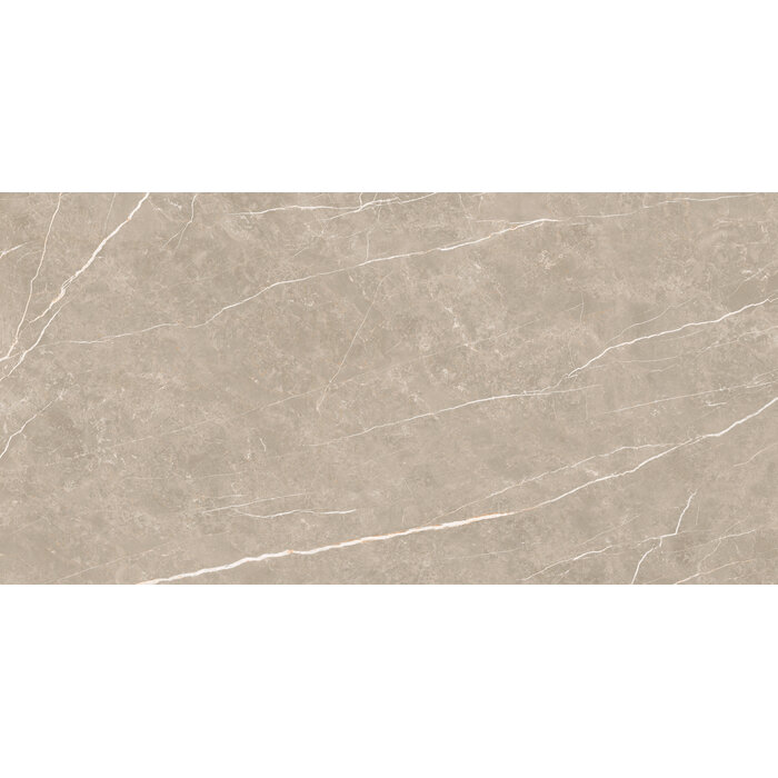 CeraVision Elite Greige Mat 30x60 Rett