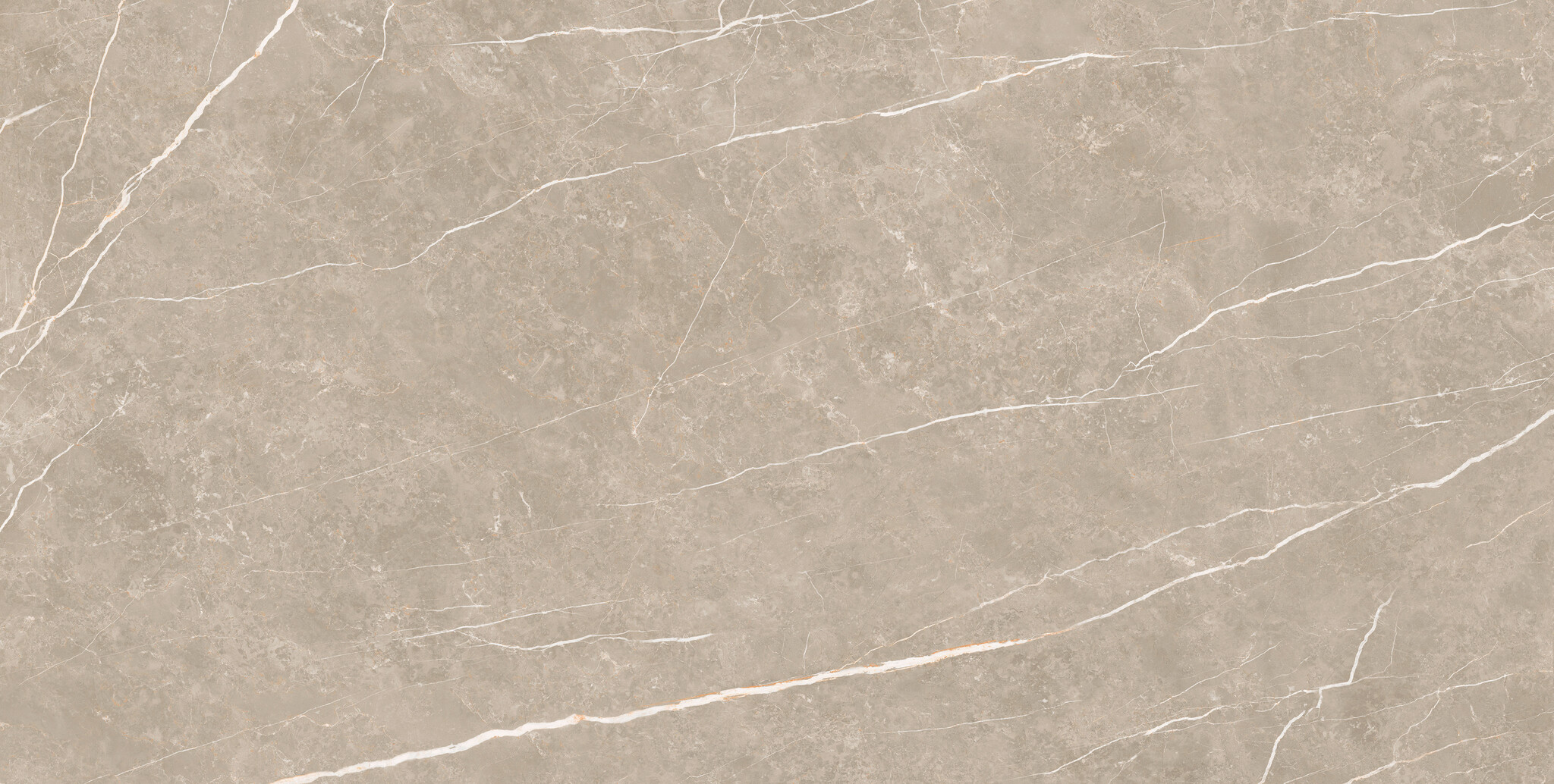 CeraVision Elite Greige Mat 30x60 Rett