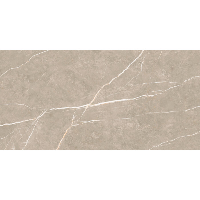 CeraVision Elite Greige Mat 30x60 Rett