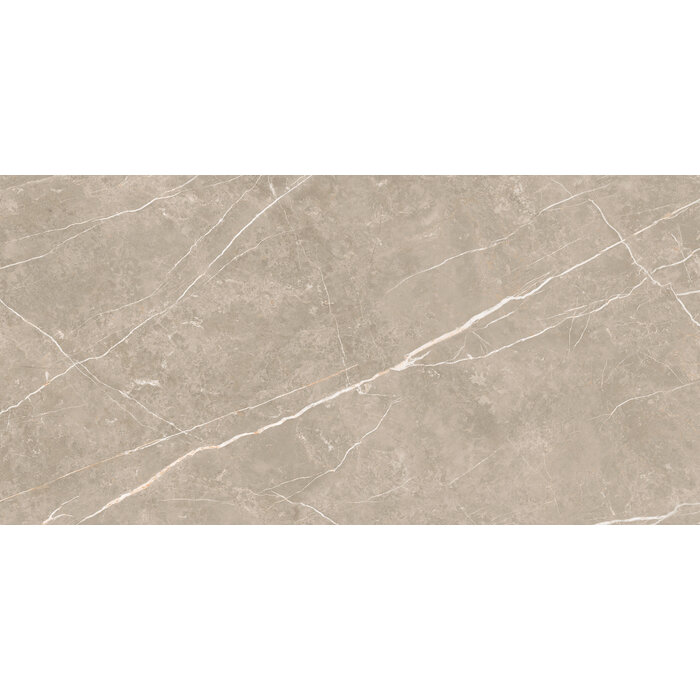 CeraVision Elite Greige Mat 30x60 Rett