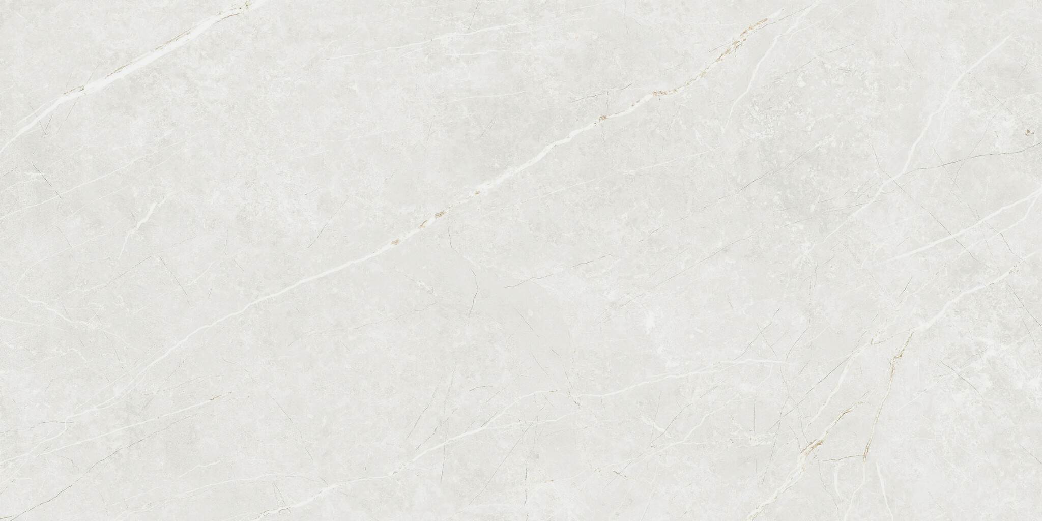 CeraVision Elite White Mat 30x60 Rett