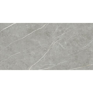 CeraVision Elite Gray Mat 30x60 Rett