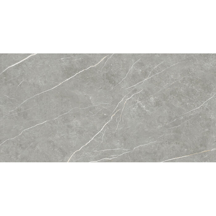 CeraVision Elite Gray Mat 30x60 Rett