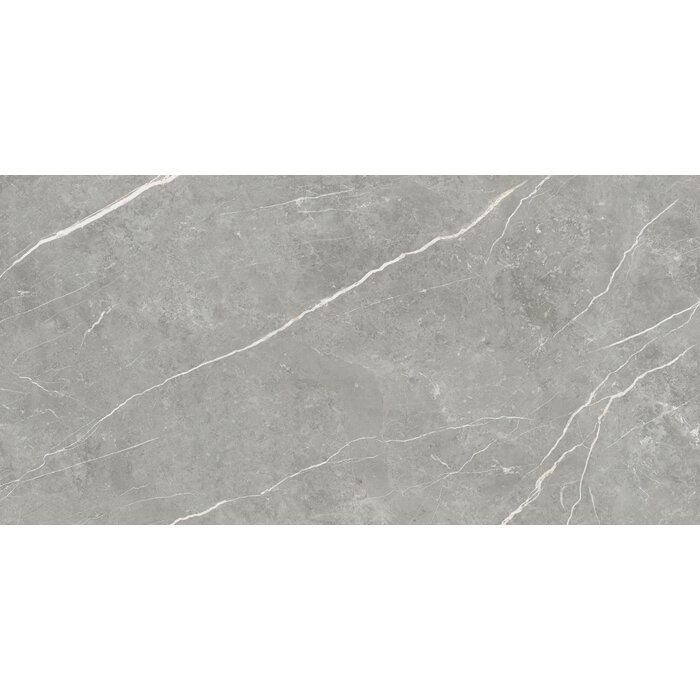 CeraVision Elite Gray Mat 30x60 Rett