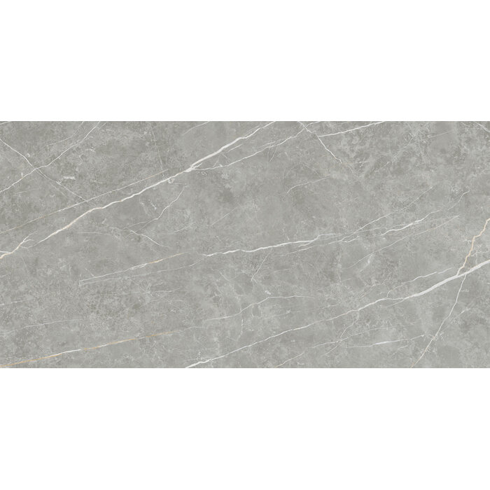 CeraVision Elite Gray Mat 30x60 Rett