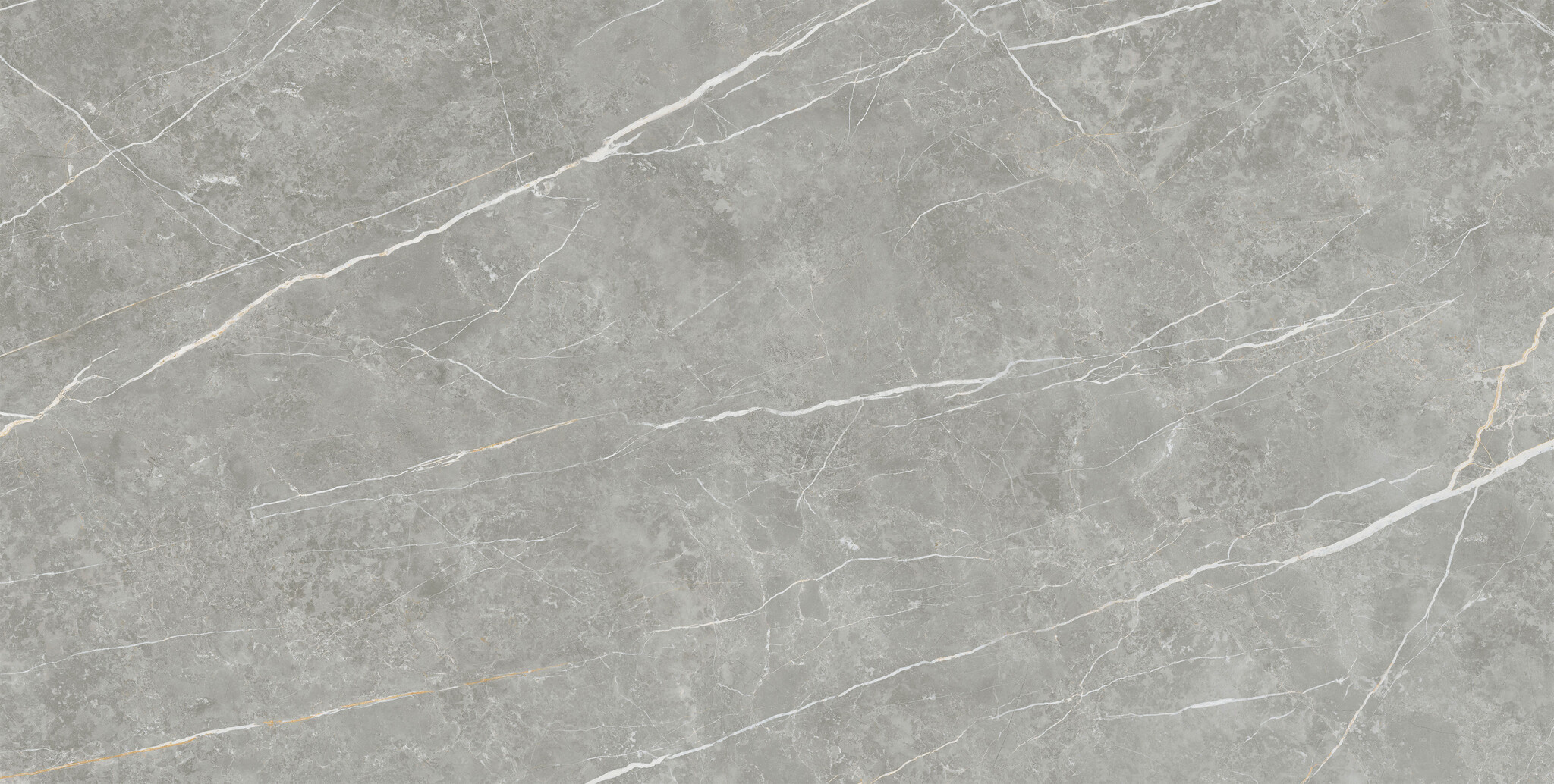 CeraVision Elite Gray Mat 30x60 Rett