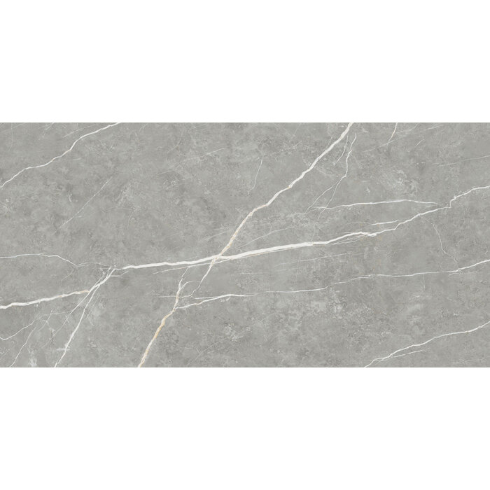 CeraVision Elite Gray Mat 30x60 Rett