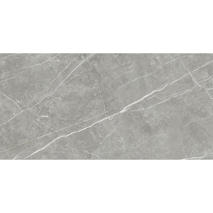 CeraVision Elite Gray Mat 30x60 Rett