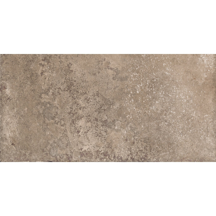 CeraVision Pierre de Montignac Blend Mat 11,2% 30x60 Rett