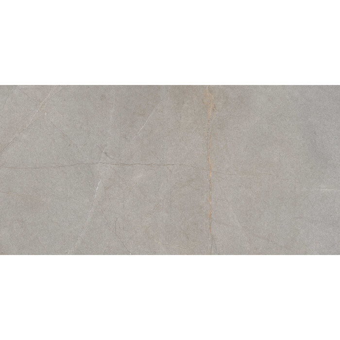 Excellent Collectie Serra Grey Mat 60x120 Rett