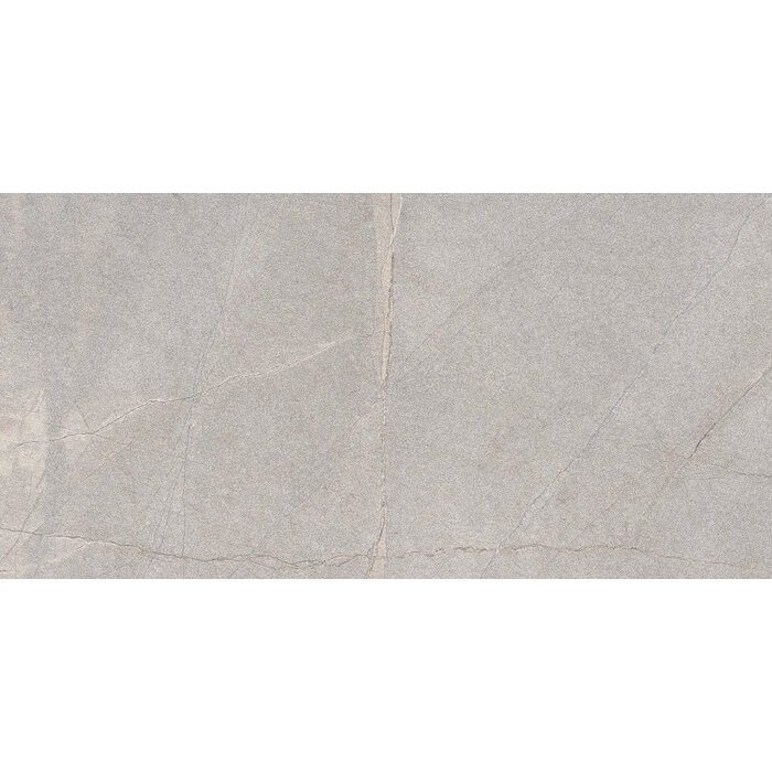 Excellent Collectie Serra Grey Mat 60x120 Rett