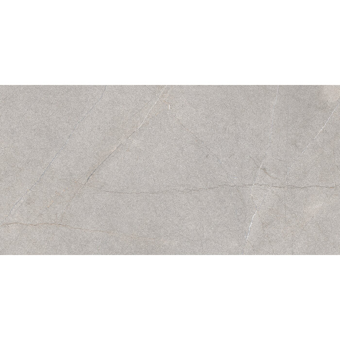 Excellent Collectie Serra Grey Mat 60x120 Rett