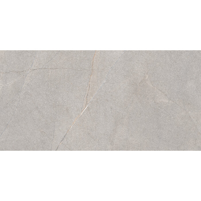 Excellent Collectie Serra Grey Mat 60x120 Rett