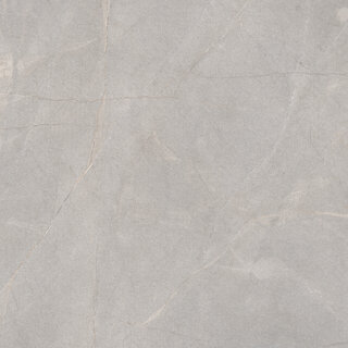 Excellent Collectie Serra Grey Mat 120x120 Rett