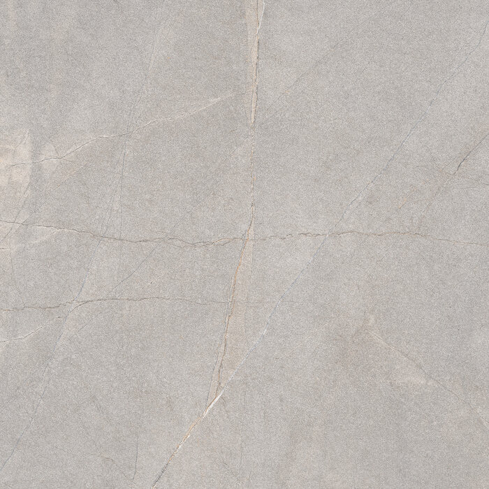 Excellent Collectie Serra Grey Mat 120x120 Rett