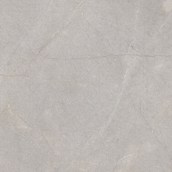 Excellent Collectie Serra Grey Mat 120x120 Rett