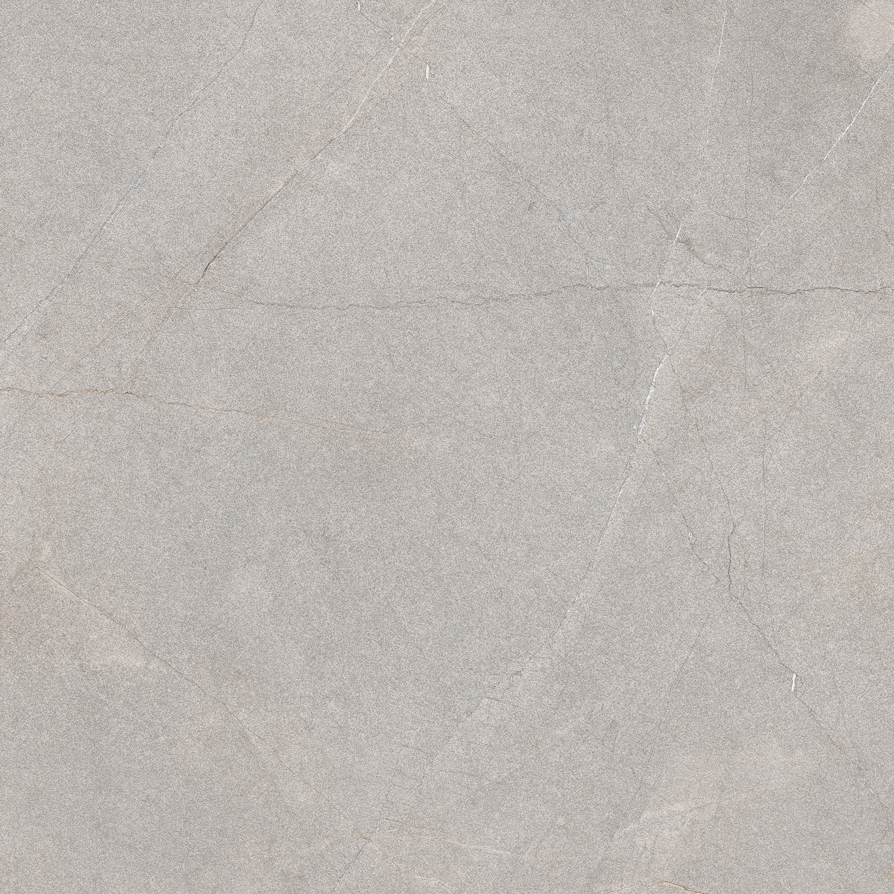 Excellent Collectie Serra Grey Mat 120x120 Rett