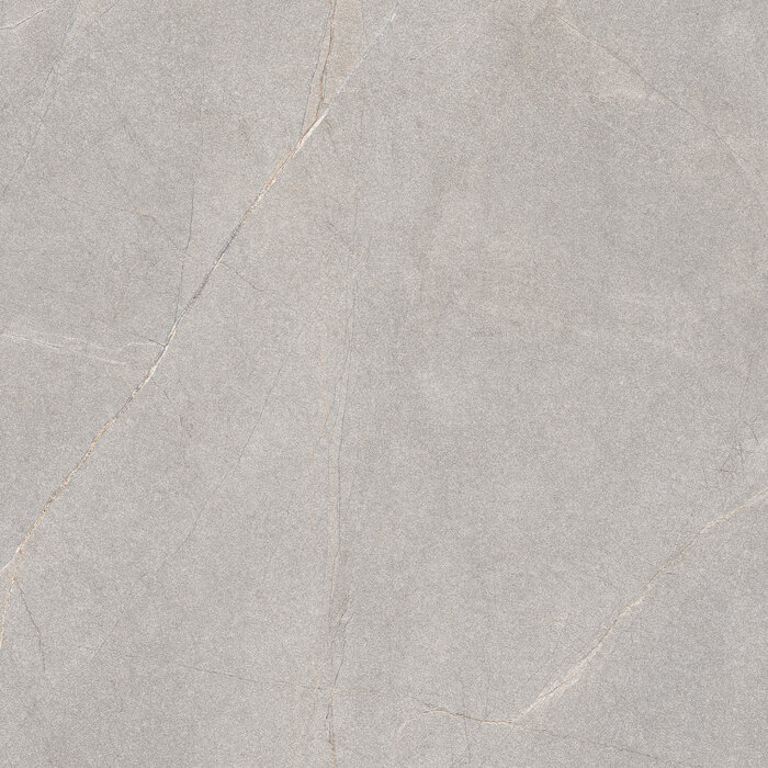 Excellent Collectie Serra Grey Mat 120x120 Rett