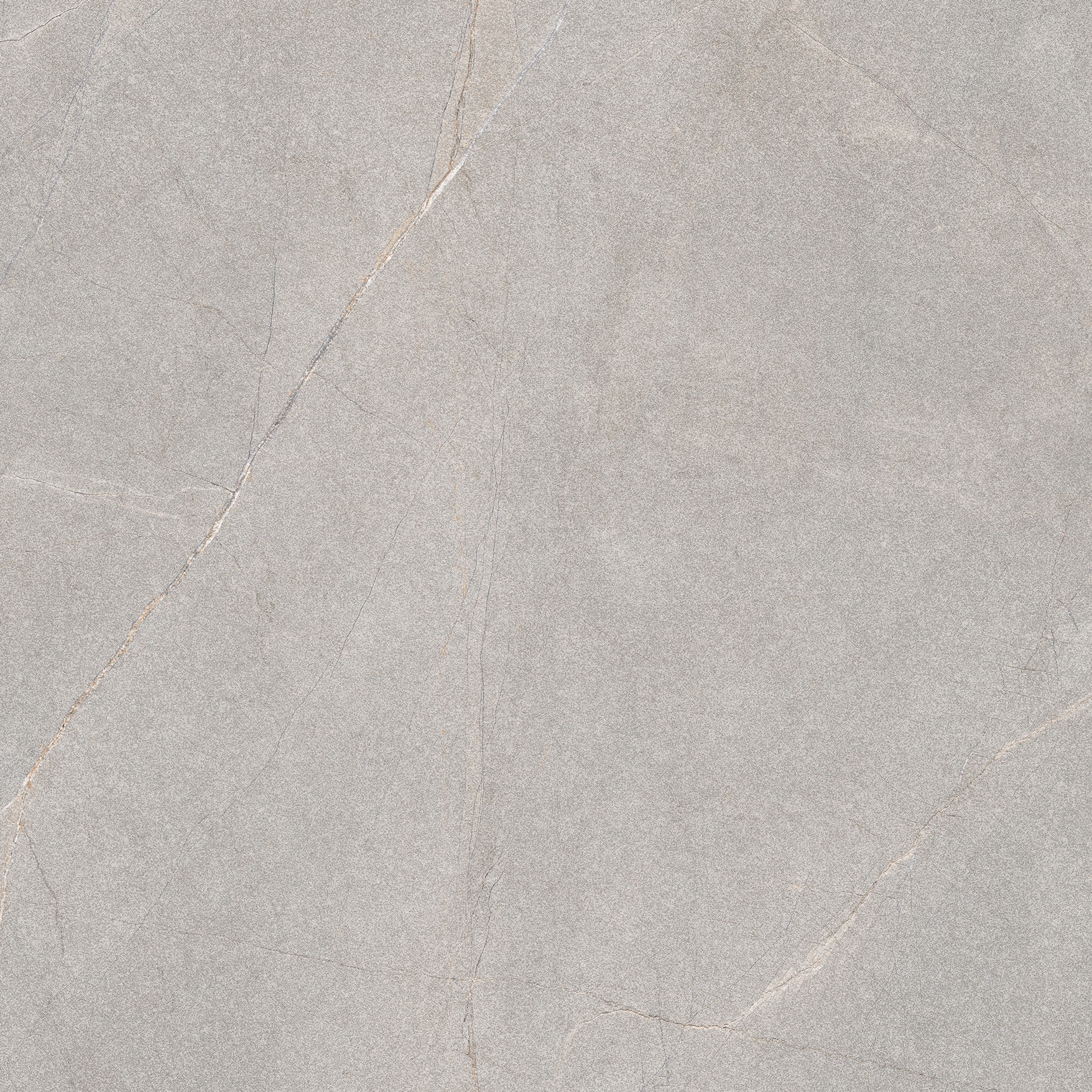 Excellent Collectie Serra Grey Mat 120x120 Rett