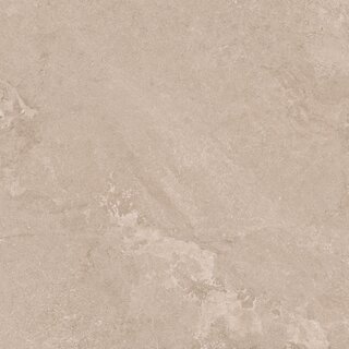 CeraVision Eternity Greige Mat 60x60 Rett