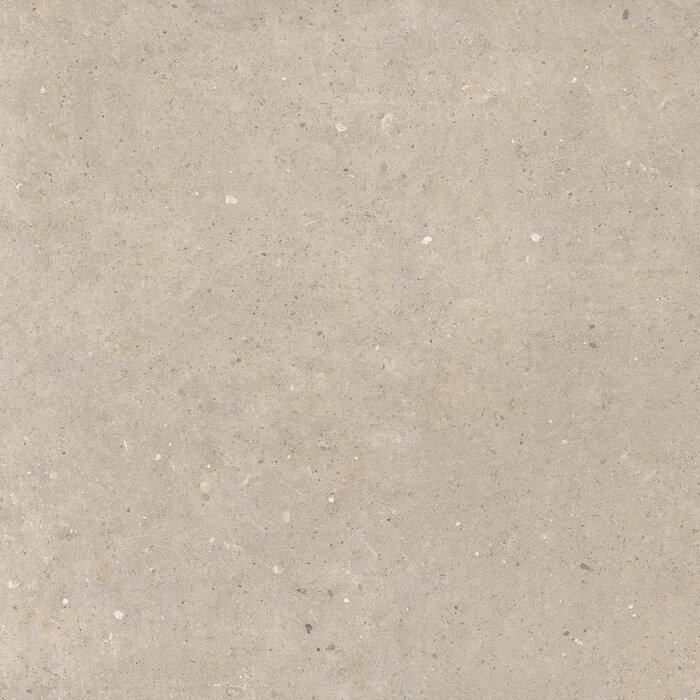 CeraVision Cement Stone Greige Mat 100x100 Rett