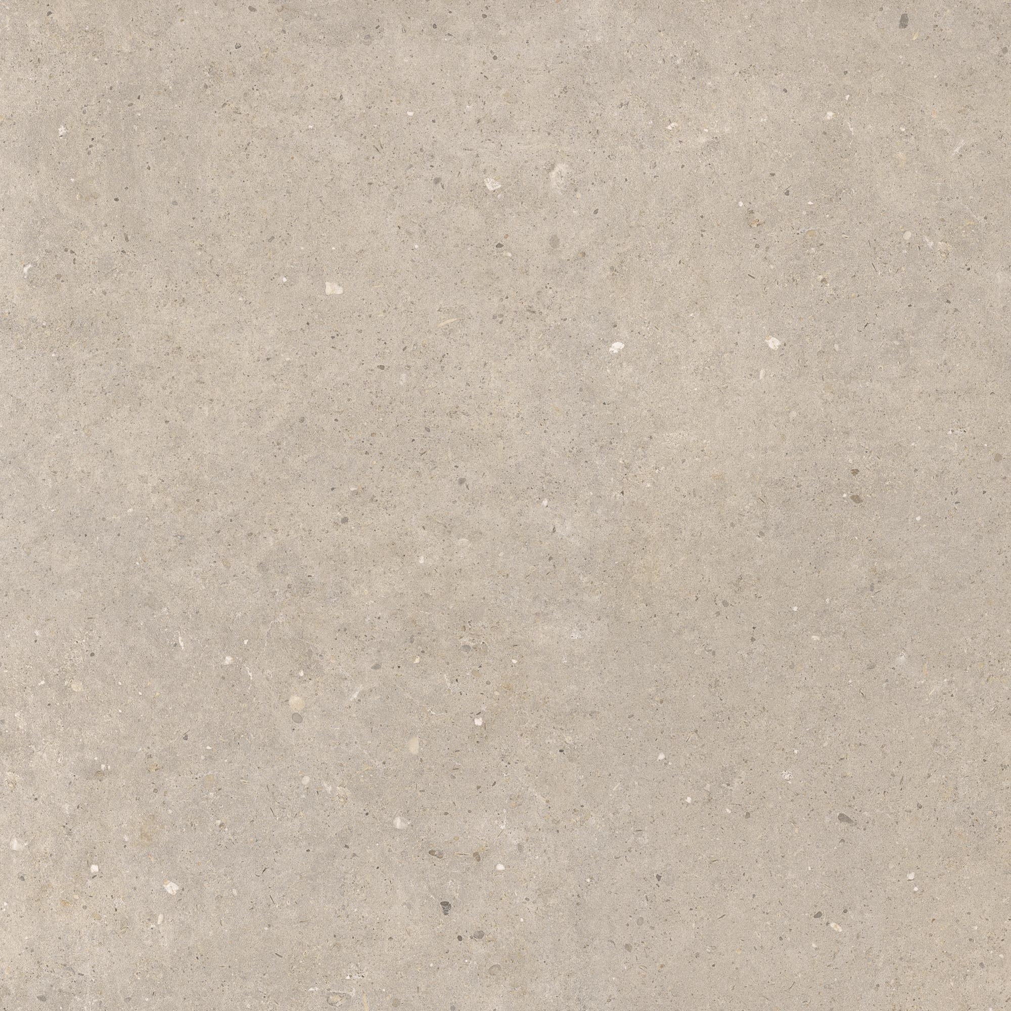 CeraVision Cement Stone Greige Mat 100x100 Rett