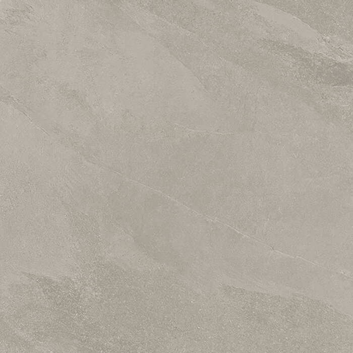 Excellent Collectie Ardesia Grigio Mat 120x120 Rett