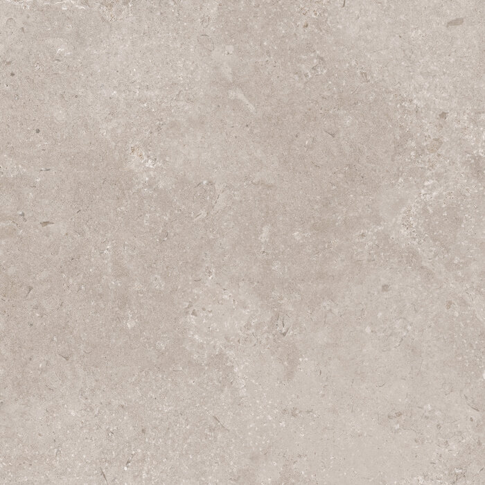 CeraVision Timeless Taupe Mat 60x60 Rett