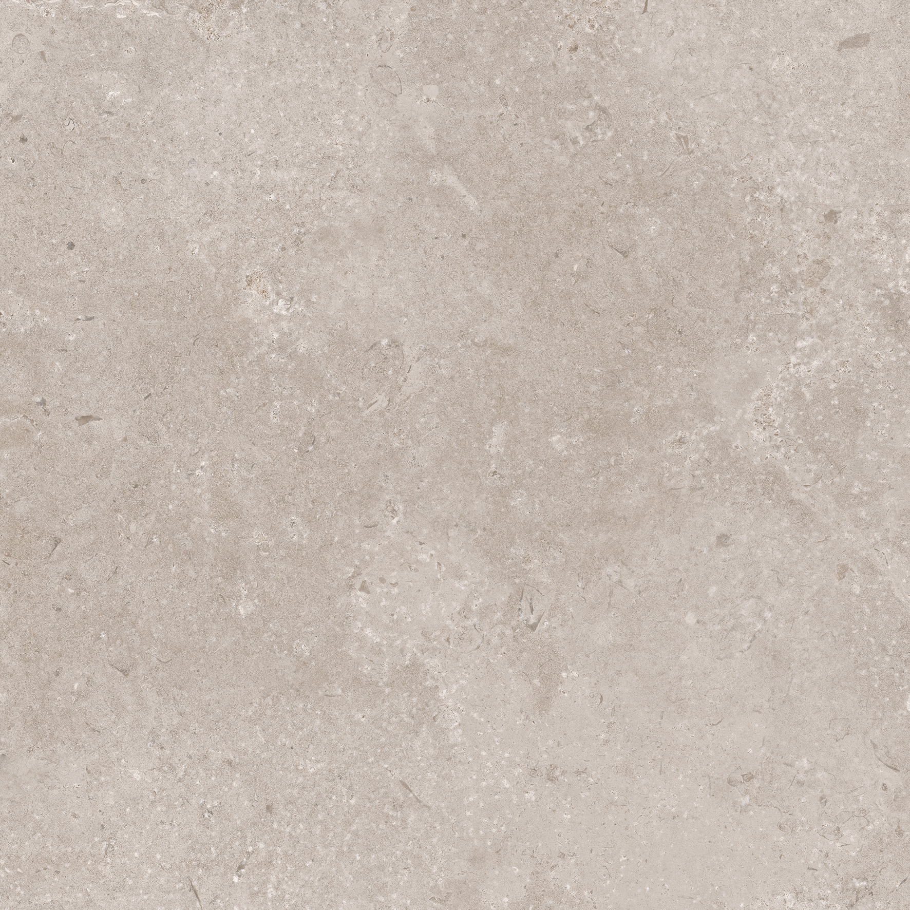 CeraVision Timeless Taupe Mat 60x60 Rett