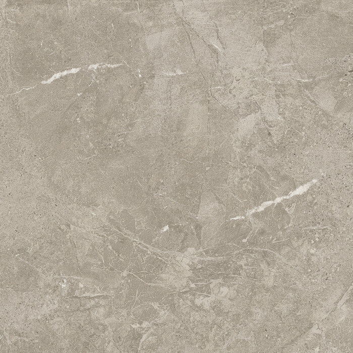CeraVision Duolith Fossil Mat 60x60 Rett