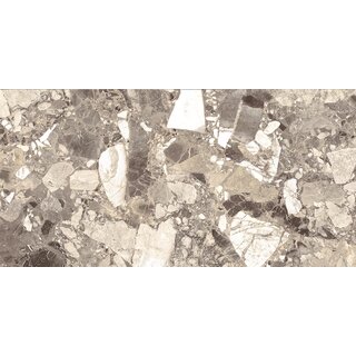 CeraVision Glam Project Copico Brown 60x120 Rett